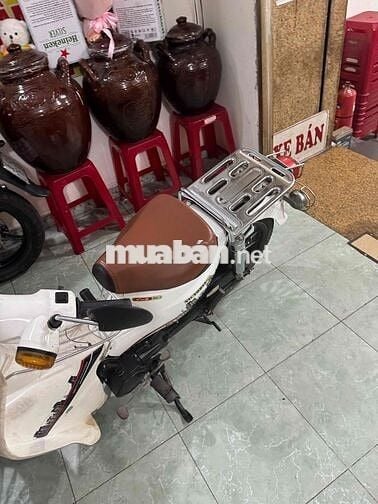 Honda Cub 50cc Trắng