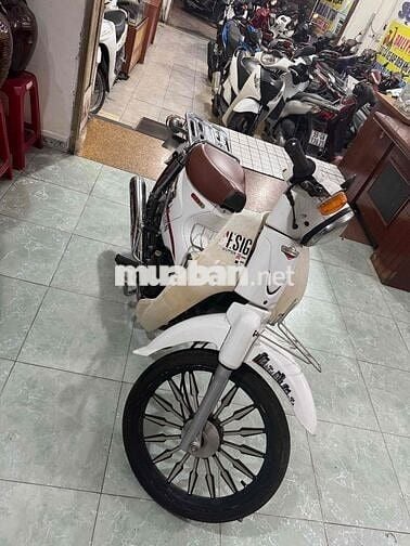 Honda Cub 50cc Trắng