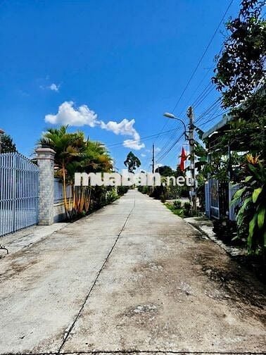 ĐẤT TP.HCM Ngay Khu Dân Cư Đông Đúc Cách Chợ Đúng 500m