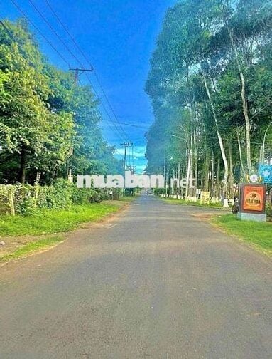 Đất vườn nghĩ dưỡng cuối đường Lê Hồng Phong