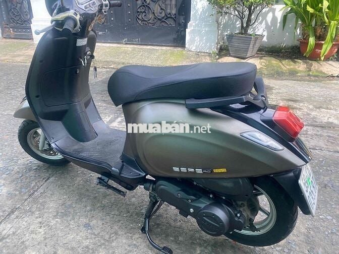 xe máy xăng 50 cho các bé học sinh