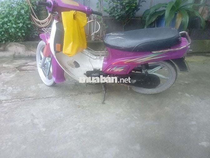 Xe củ
