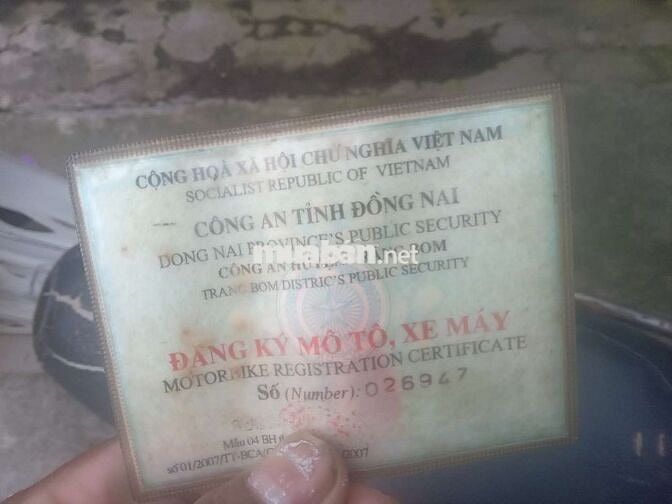 Xe củ
