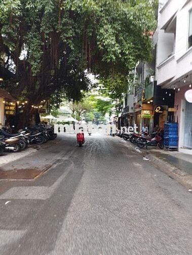 Cho thuê nhà 16x18m 2 lầu Đường Hoa Phú Nhuận