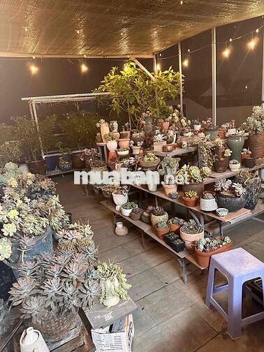 🏡 CHO THUÊ PHÒNG CÓ BAN CÔNG – PHÒNG MỚI, RỘNG RÃI – GÒ VẤP