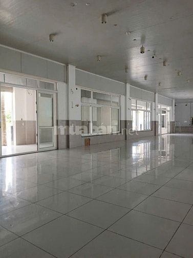 Cho thuê xưởng 3.000m² Quốc lộ 1A, Bình Chánh , Giá chỉ 250 triệu/thán