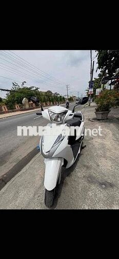 Honda Lead Trắng