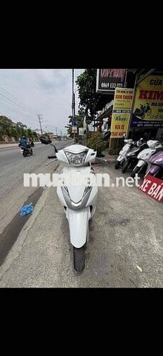 Honda Lead Trắng