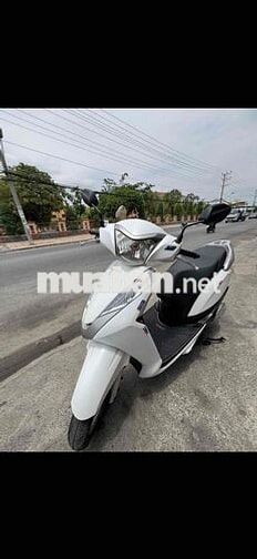 Honda Lead Trắng