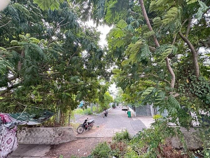 Cho thuê đất ven sông Sài Gòn 4.000m² Hiệp Bình Phước TP Thủ Đức