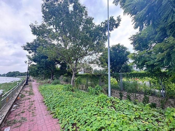Cho thuê đất ven sông Sài Gòn 4.000m² Hiệp Bình Phước TP Thủ Đức