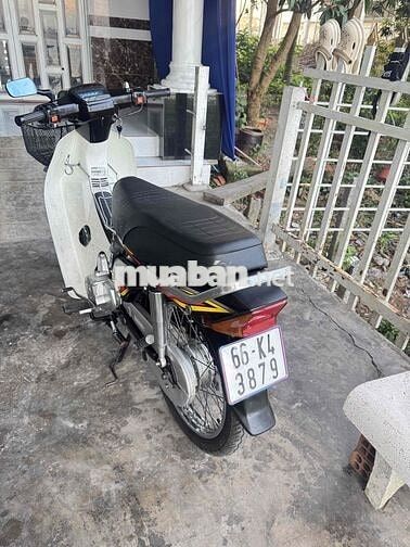 Sanda Boss BS VIP 3879