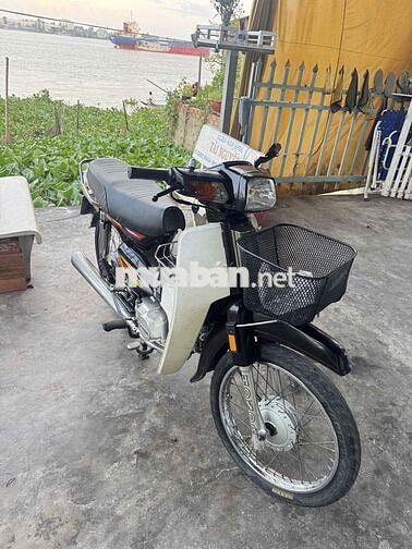 Sanda Boss BS VIP 3879