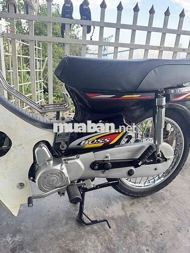 Sanda Boss BS VIP 3879