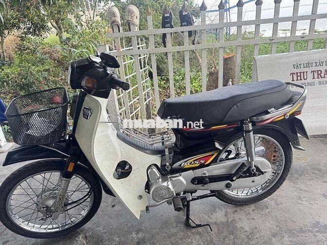 Sanda Boss BS VIP 3879