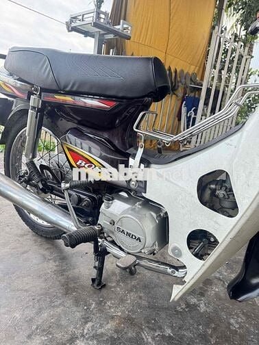 Sanda Boss BS VIP 3879