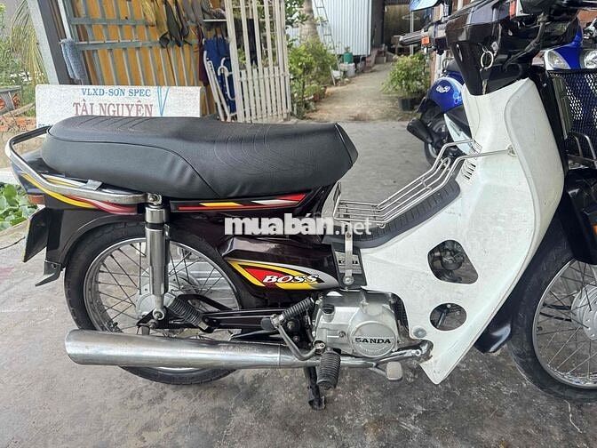 Sanda Boss BS VIP 3879