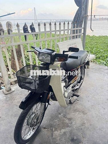 Sanda Boss BS VIP 3879
