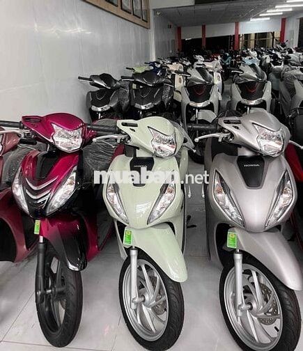Honda Vision Thể thao Đa dạng