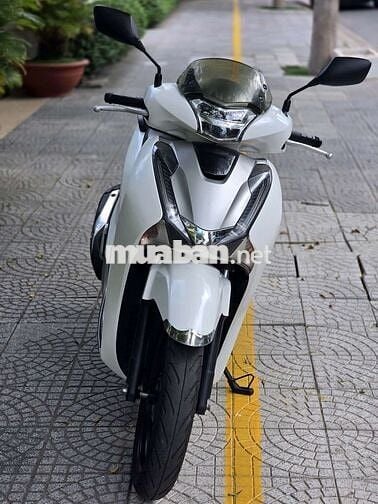 Honda SH 2019 Trắng