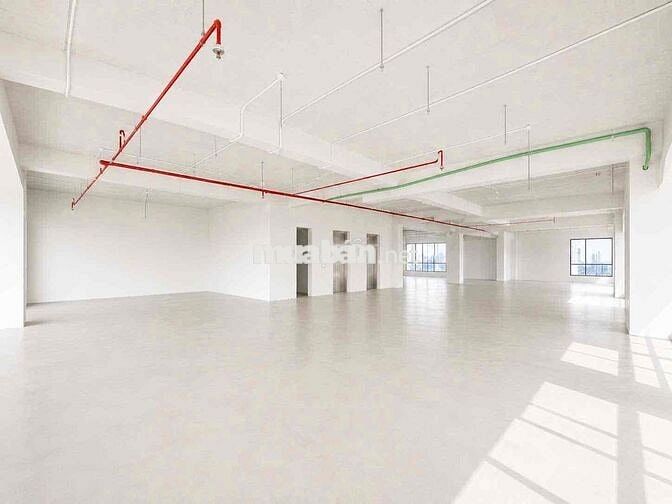 Cho thuê VP Nguyễn Trọng Tuyển 215m2, sàn suốt, không cột