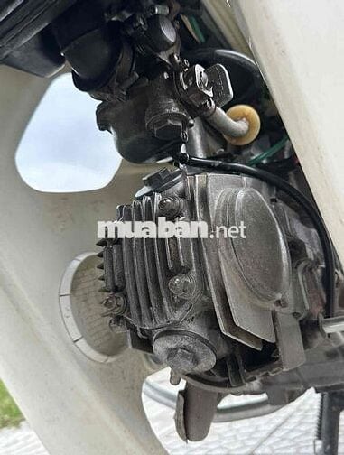 Honda Dream II Nâu Nhật Bản