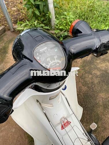 Xe Cub 50cc xe đẹp máy êm ru HS không cần bằng lái
