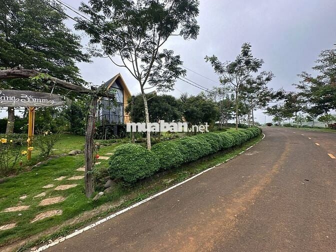 Đất Nghỉ Dưỡng Bảo Lộc, Sổ Sẵn, Công Chứng