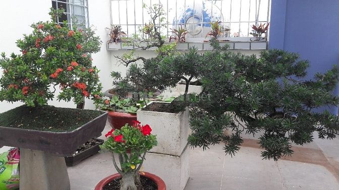 Phòng cho thuê có cửa sổ mở thoáng ở ngay giảm giá còn 1,6 tr/th