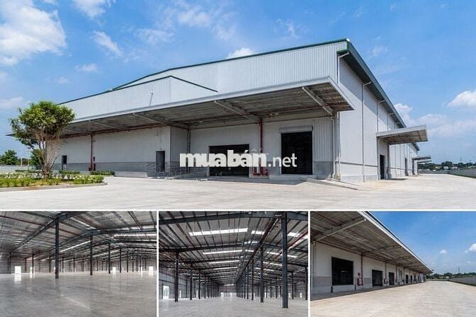 CHO THUÊ NHÀ KHO 3.600M² TẠI QUẢNG NAM – KHO MỚI 100%, GIÁ CHỈ 55K/M² 