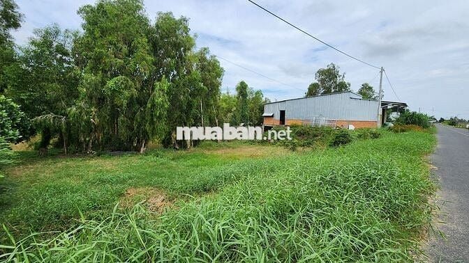 Bán 3 lô đất 2 mặt tiền ĐT 855 (Cách chợ Tràm Chim 5 phút di chuyển)