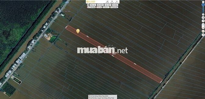Bán 3 lô đất 2 mặt tiền ĐT 855 (Cách chợ Tràm Chim 5 phút di chuyển)