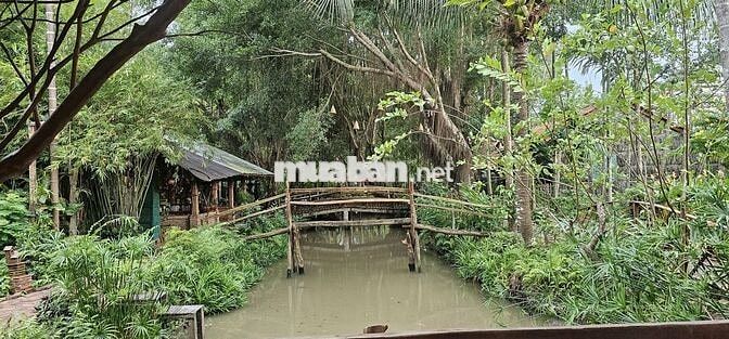 TUYỂN NV PHỤC VỤ, BUỒNG PHÒNG, BẾP CẦN THƠ