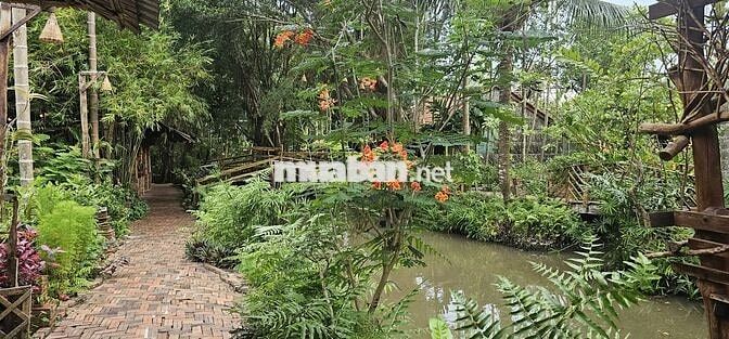 TUYỂN NV PHỤC VỤ, BUỒNG PHÒNG, BẾP CẦN THƠ