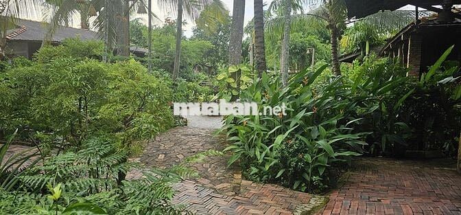 TUYỂN NV PHỤC VỤ, BUỒNG PHÒNG, BẾP CẦN THƠ