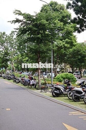 Shophouse khối đế The Privia, 85 m², Tháp B, có sẵn HĐ thuê 20 triệu
