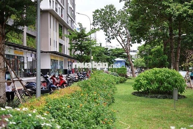 Shophouse khối đế The Privia, 85 m², Tháp B, có sẵn HĐ thuê 20 triệu