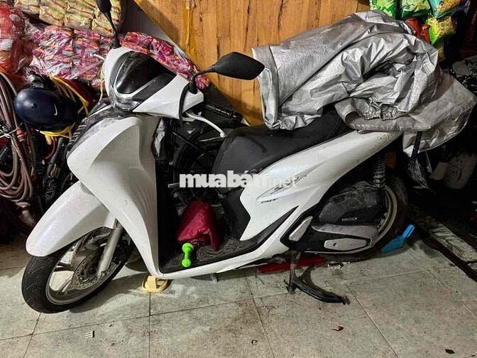 Honda SH Trắng Ngọc Trai