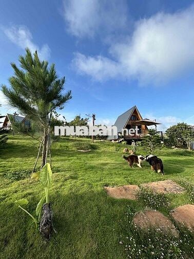 Đất thổ cư tựa sườn đồi view hồ có nhà gỗ Bắc Âu và vườn cây ăn trái
