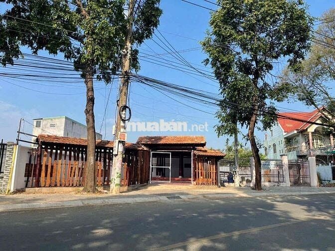 chính chủ cần chuyển nhượng 1 miếng đất có nhà gỗ