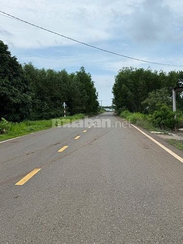 🔥 BÁN ĐẤT MẶT TIỀN ĐƯỜNG NHỰA LONG TÂN – ĐẤT ĐỎ CHỈ 550TR🔥