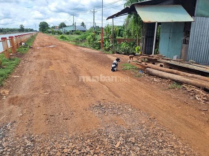 110m2 có thổ cư.nằm giữa KCN Phước Đông. 380tr 