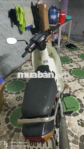 Honda Dream Trắng, Đen