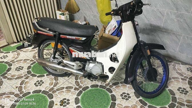 Honda Dream Trắng, Đen