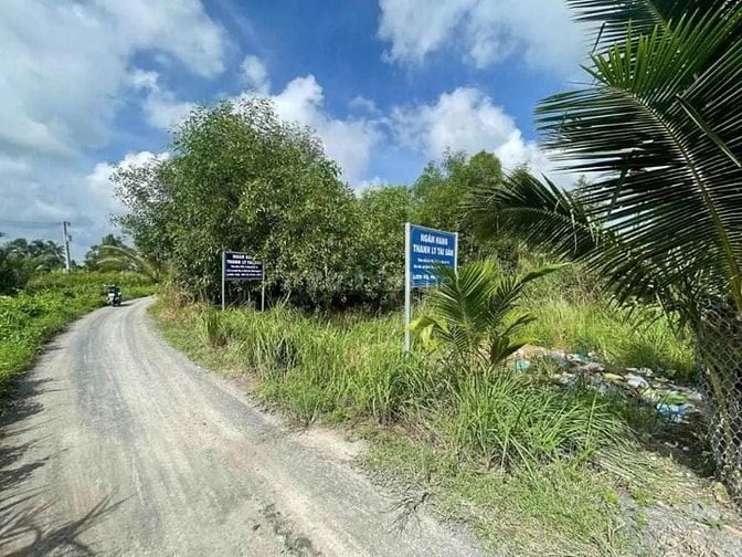 Công ty Đấu giá hợp danh Lam Sơn Sài Gòn THÔNG BÁO ĐẤU GIÁ TÀI SẢN