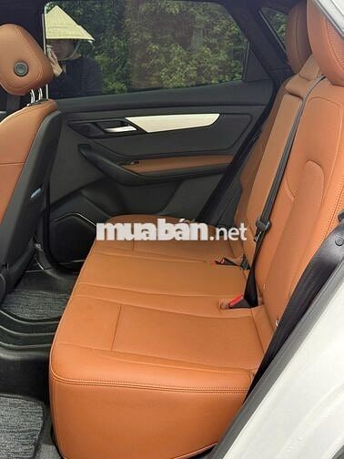 VINFAST VF8 PLUS PIN MUA 2025 TRẦN KÍNH GIA ĐÌNH