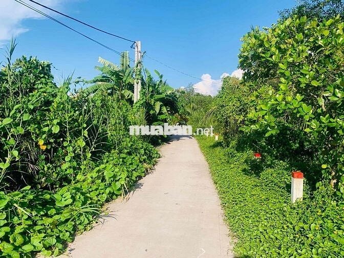 🚨 BÁN NỀN RẠCH KÈ LỘ OTO 4M GẦN KDL MEKONG SLIT. CÓ BÁN LẺ 150m2