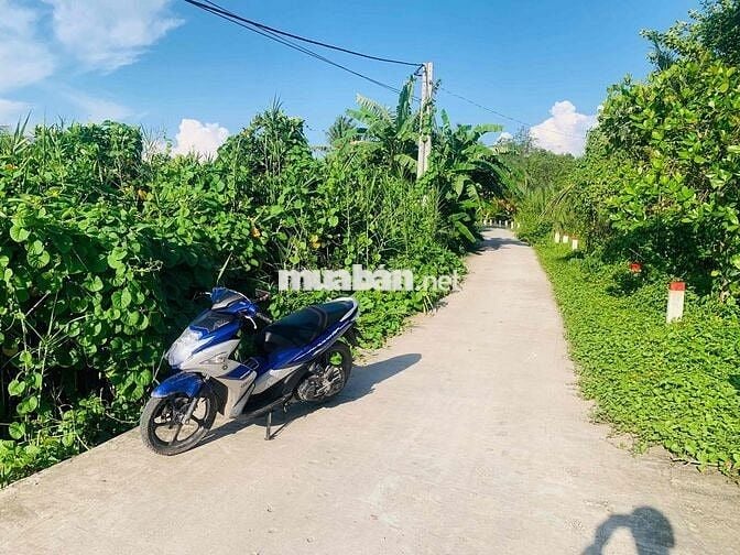 🚨 BÁN NỀN RẠCH KÈ LỘ OTO 4M GẦN KDL MEKONG SLIT. CÓ BÁN LẺ 150m2