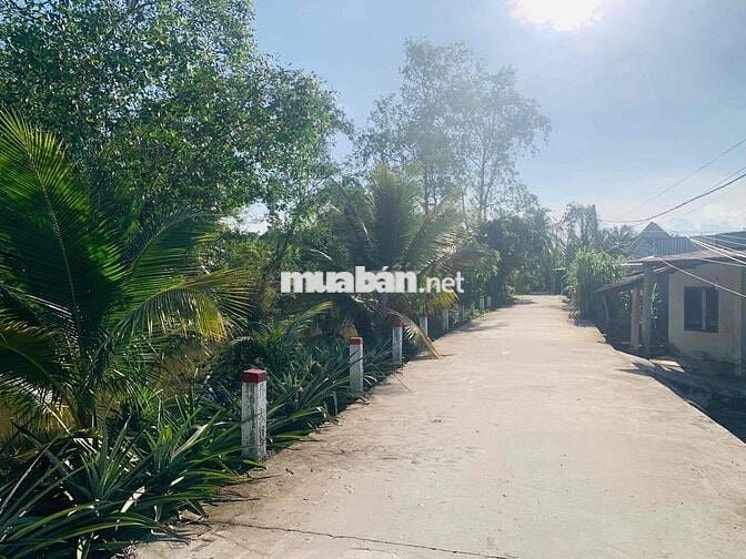 🚨 BÁN NỀN RẠCH KÈ LỘ OTO 4M GẦN KDL MEKONG SLIT. CÓ BÁN LẺ 150m2