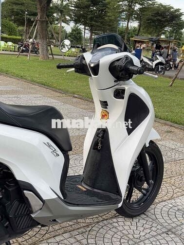 Honda SH 125 2019 Trắng bs 43